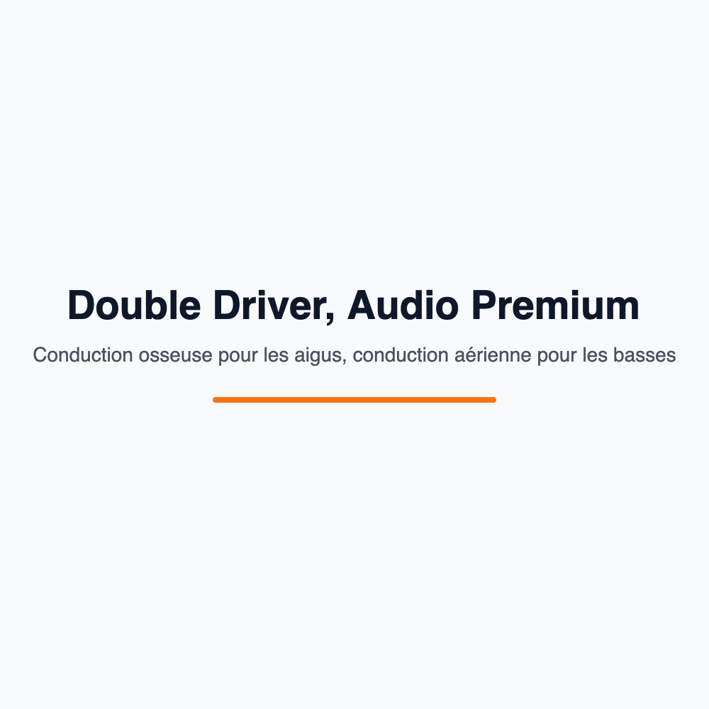 Double driver audio premium